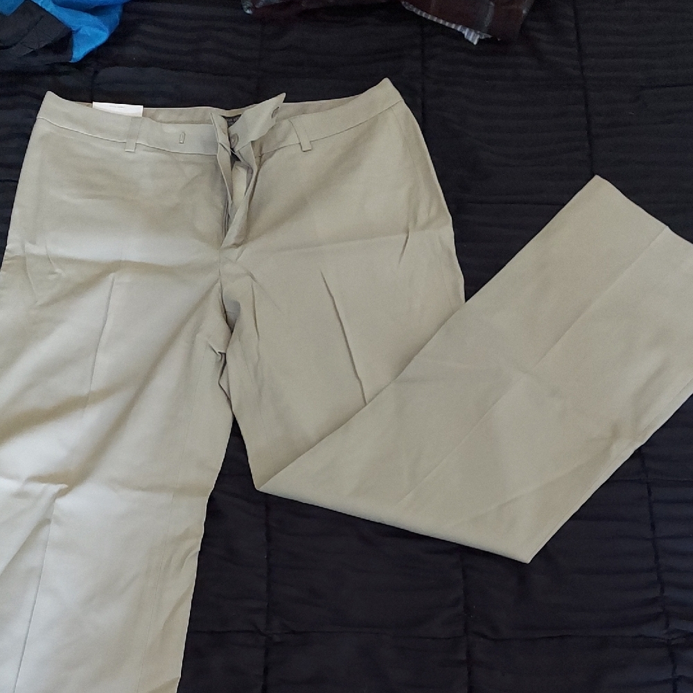 Banana Republic Light Beige Trousers